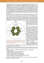 carelit_588855_6.jpg