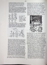 carelit_772883_4.jpg