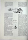 carelit_772879_3.jpg