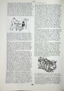 carelit_772952_3.jpg