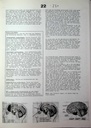 carelit_772979_5.jpg