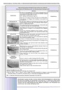 carelit_201204_7.jpg