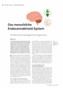 Das menschliche Endocannabinoid-System: Ein Faktor für das Gleichgewicht des Organismus?