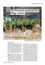 Die forensisch-psychiatrische Pflege stärken