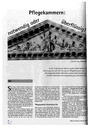 Pflegekammern: notwendig oder überflüssig?